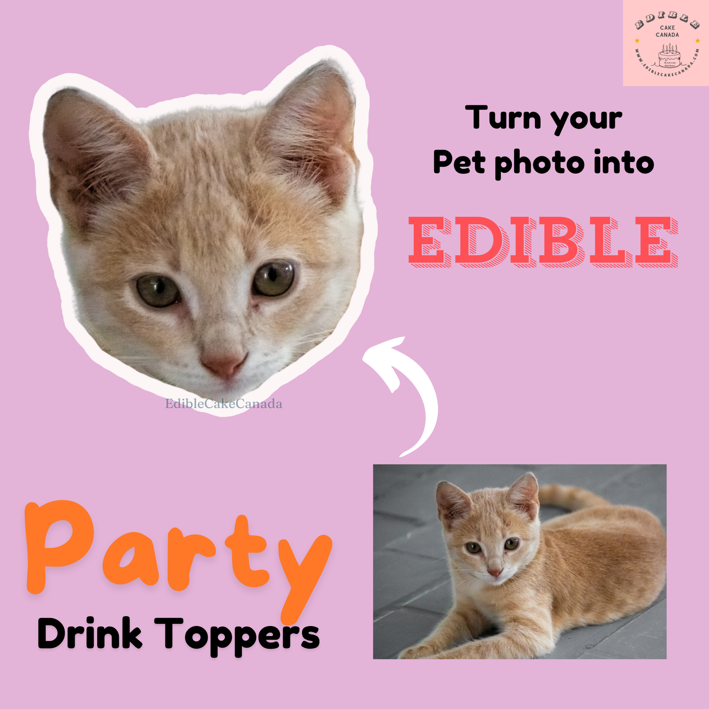 EDIBLE CUSTOM Wafer Drink Topper - Create your Unique Pet Portrait Drink