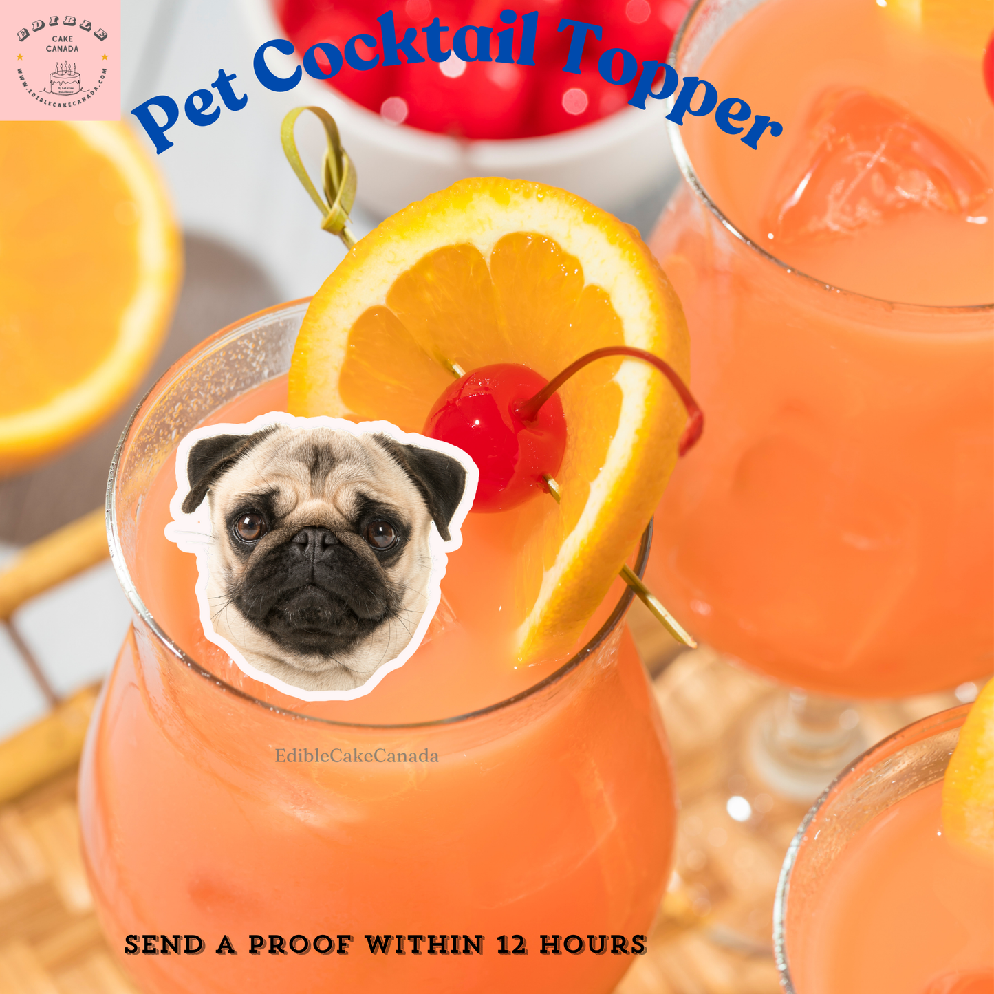 EDIBLE CUSTOM Wafer Drink Topper - Create your Unique Pet Portrait Drink