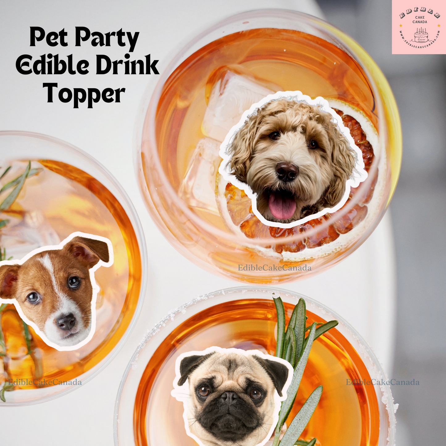 EDIBLE CUSTOM Wafer Drink Topper - Create your Unique Pet Portrait Drink